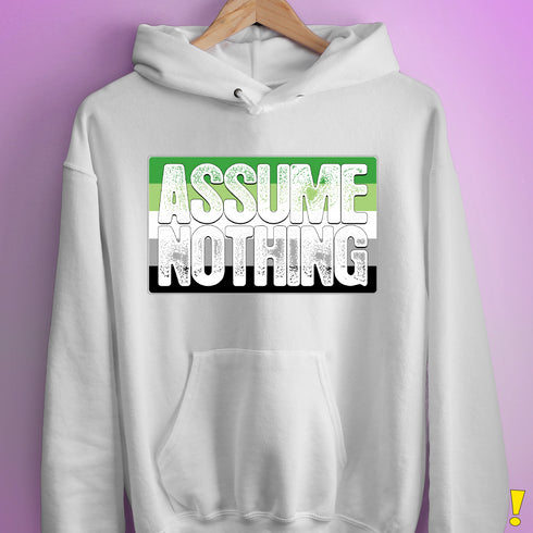 Assume Nothing Aromantic Pride Flag Hoodie - White